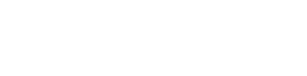 Research Biz logo in white and transparent